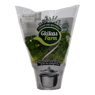 - | ΜΑΪΝΤΑΝΟΣ ΦΡΙΖΕ ΣΕ ΓΛΑΣΤΡΑΚΙ ΕΛΛΗΝΙΚΟ 1 ΤΕΜ