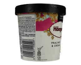 HAAGEN DAZS | Παγωτό Pralines & Cream 400gr