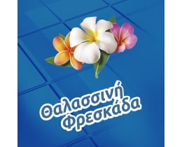 FABULOSO | Υγρό Καθαρισμού Θαλασσινή Φρεσκάδα 1lt 1+1 Δώρο