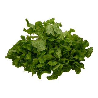 - | SALADS LOLLO MIXED RED-GREEN 1 TEM