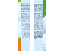 BABYLINO | Πάνες Μωρού Sensitive Χαμομήλι Νο4+ 9-20kg 19 Τεμάχια