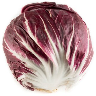 - | ΡΑΝΤΙΤΣΙΟ ΕΙΣΑΓΩΓΗΣ