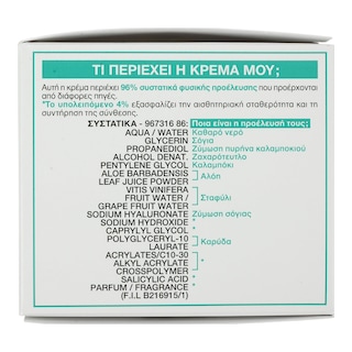 GARNIER | Κρέμα Προσώπου Hyaluronic Aloe Jelly 50ml