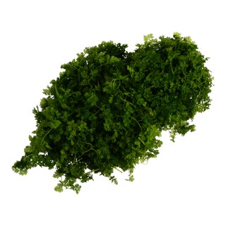 - | ΜΥΡΩΝΙ ΕΛΛΗΝΙΚΟ 1 ΤΕΜ