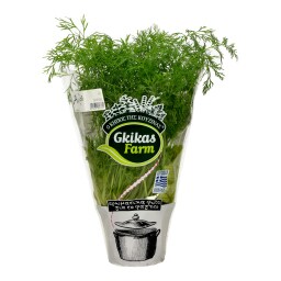 - | ΑΝΙΘΟΣ ΣΕ ΓΛΑΣΤΡΑΚΙ ΕΛΛΗΝΙΚΟΣ ΤΕΜΑΧΙΟ 1 ΤΕΜ