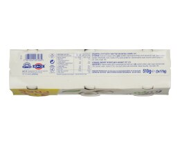 FRUYO | ΚΑΡΥΔΑ  340GR