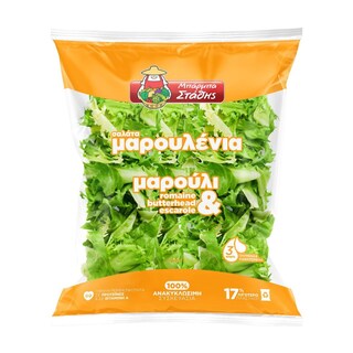 ΜΠΑΡΜΠΑ ΣΤΑΘΗΣ | Έτοιμη Σαλάτα Μαρουλένια 200g