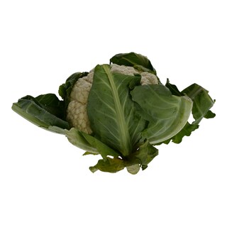 - | Κουνουπίδι Εισαγωγής