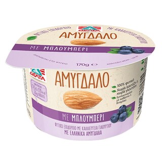 ΔΕΛΤΑ | Φυτικό Επιδόρπιο Μπλούμπερυ  170 gr