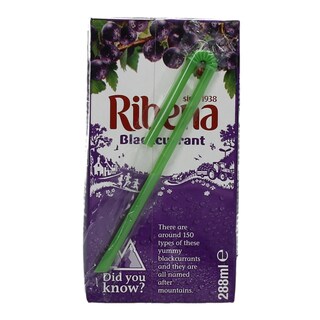 RIBENA | ΧΥΜΟΣ ΝΕΚΤΑΡ ΦΡΑΓΚΟΣΤΑΦΥΛΛΟ 288 ML