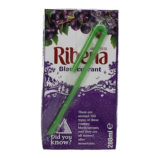 RIBENA | ΧΥΜΟΣ ΝΕΚΤΑΡ ΦΡΑΓΚΟΣΤΑΦΥΛΛΟ 288 ML