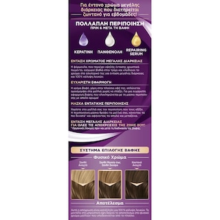 PALETTE | Hair Dye Intensive Color 6 Dark Blonde 1 Piece