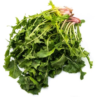 - | Cultivated Chicory Greens Greek