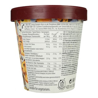 HAAGEN DAZS | Παγωτό DUO Dark Chocolate & Salted Caramel 355g