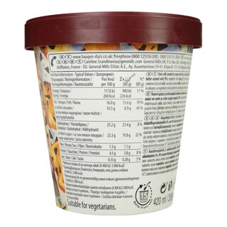 HAAGEN DAZS | Παγωτό DUO Dark Chocolate & Salted Caramel 355g