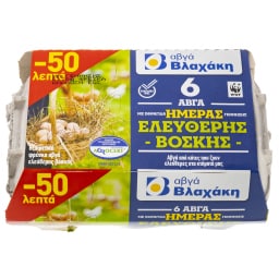 ΒΛΑΧΑΚΗΣ | VLACHAKIS EXTRA FRESH CAGE FREE EGGS  320GR
