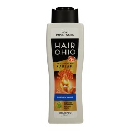 HAIR CHIC | ΣΑΜΠΟΥΑΝ ΚΑΝΟΝΙΚΑ ΜΑΛΛΙΑ 400 ML -1E