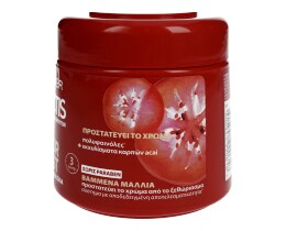 FRUCTIS | FRUCTIS ΜΑΣΚΑ COLOR RESIST 300ML ΜΑΣΚΑ ΓΙΑ ΘΡΕΨΗ 300MΛ