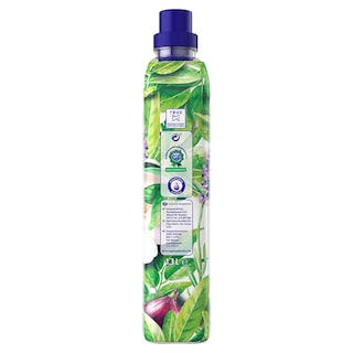 SOUPLINE | .  56ΜΕΖ