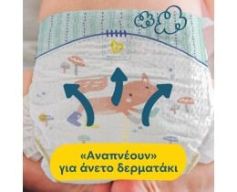 PAMPERS | Πάνες Μωρού Premium Care Νο2 Αποκλειστικά Online 224 Τεμάχια