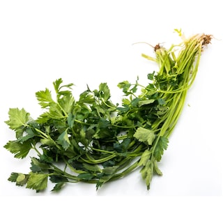 - | ΣΕΛΙΝΟ ΕΛΛΗΝΙΚΟ