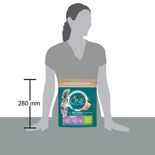 PURINA ONE | Γατοτροφή Delicate Γαλοπούλα & Ρύζι 800g
