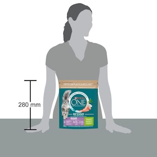 PURINA ONE | Γατοτροφή Delicate Γαλοπούλα & Ρύζι 800g