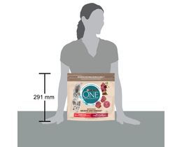 PURINA ONE | Γατοτροφή Sterilcat Bifensis Βοδινό 1.1kg