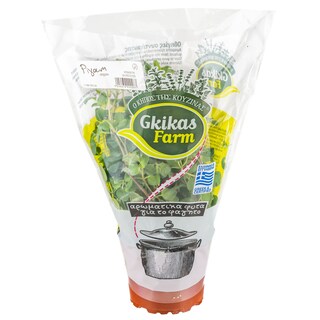 - | Ρίγανη Γλαστράκι Ελληνική 1 Τεμάχιο