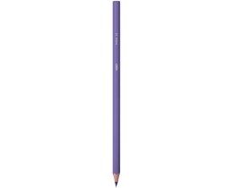 BIC | Μολύβια Ζωγραφικής Kids Tropicolors Πολύχρωμα 12 Τεμάχια
