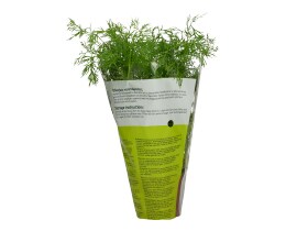 - | ΑΝΙΘΟΣ ΣΕ ΓΛΑΣΤΡΑΚΙ ΕΛΛΗΝΙΚΟΣ ΤΕΜΑΧΙΟ 1 ΤΕΜ