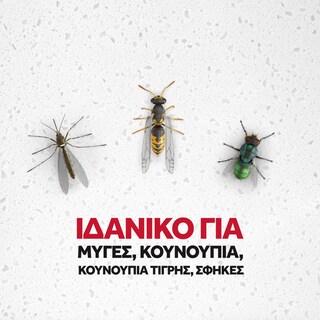 RAID | Εντομοκτόνο Spray Κουνούπια & Μύγες 300ml Έκπτωση 0.70Ε