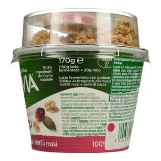 ACTIVIA | Επιδόρπιο Γιαουρτιού Mix & Go Muesli Cranberry 170 gr