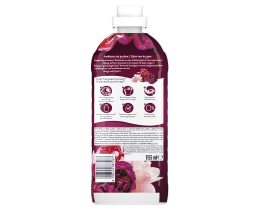 LENOR | Συμπυκνωμένο Μαλακτικό Bliss Ruby Jasmine 55 Μεζούρες