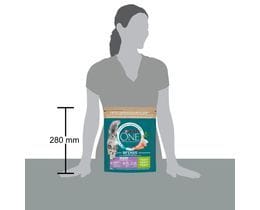 PURINA ONE | Γατοτροφή Delicate Γαλοπούλα & Ρύζι 800g