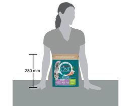 PURINA ONE | Γατοτροφή Delicate Γαλοπούλα & Ρύζι 800g