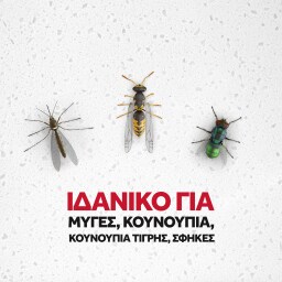 RAID | Εντομοκτόνο Essentials Flying 400ml