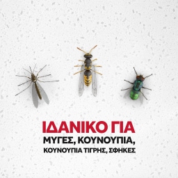 RAID | Εντομοκτόνο Essentials Flying 400ml