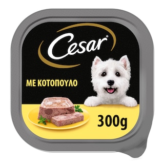 CESAR