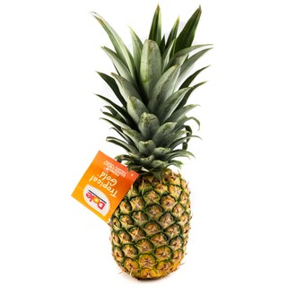 - | ΑΝΑΝΑΣ ΕΙΣΑΓΩΓΗΣ