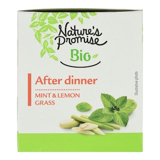 NATURES PROMISE BIO | Αφέψημα Bio με Μέντα και Λεμονόχορτο 27g