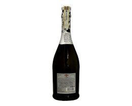 ASTI MARTINI | ΟΙΝΟΣ ΑΦΡΩΔΗΣ  750 ML