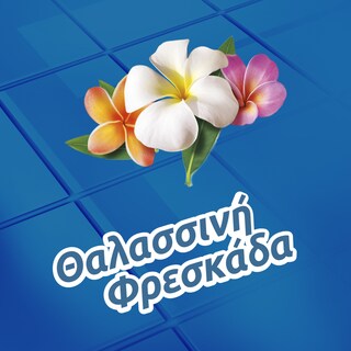 FABULOSO | Υγρό Καθαρισμού Θαλασσινή Φρεσκάδα 1lt 1+1 Δώρο