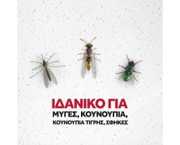 RAID | Εντομοκτόνο Spray Κουνούπια & Μύγες 300ml Έκπτωση 0.70Ε