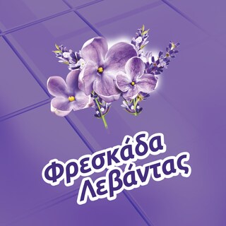 FABULOSO | Υγρό Καθαρισμού Φρεσκάδα Λεβάντας 1lt 1+1 Δώρο