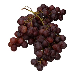 - | . ΦΡΑΟΥΛΑ ΕΙΣΑΓΩΓΗΣ