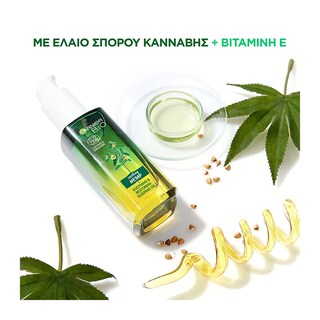 GARNIER | Κρέμα Νύχτας Bio Ενυδατική Έλαιο Κάνναβης 30ml