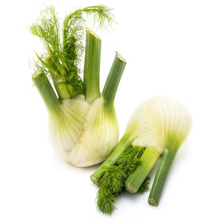 - | ΦΙΝΟΚΙΟ ΕΙΣΑΓΩΓΗΣ