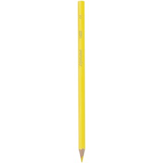 BIC | Μολύβια Ακουαρέλας Kids Aquacouleur Πολύχρωμα 12 Τεμάχια