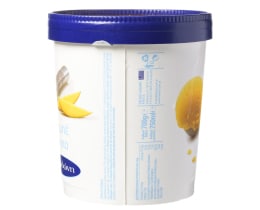 ΔΩΔΩΝΗ ΠΑΓΩΤΟ | Παγωτό Mango Sorbet 750 ml